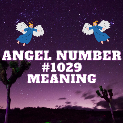 Angel Number 1029 Meaning: Unlocking the Secret Messages of Divine Guidance for Love, Money, and Spiritual Awakening