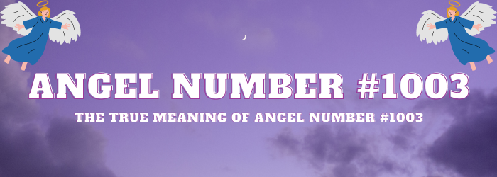 Angel Number 1003