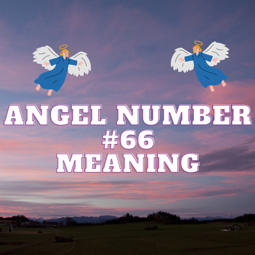 The Meaning Of Angel Number 66: A Comprehensive Guide to its Symbolism, and Significance in Love, Money, Work, Biblical and Twin Flame Relationships