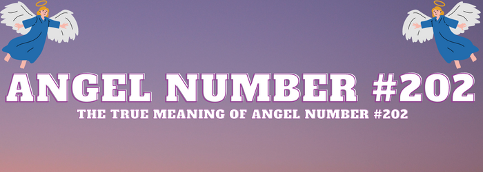 Angel-Number-202