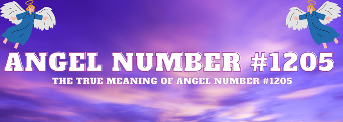 Angel-Number-1204