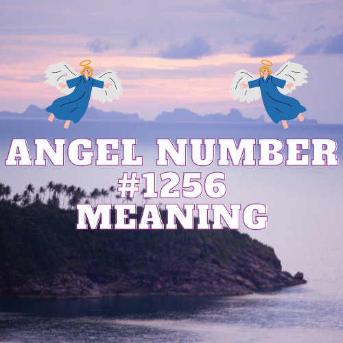 Angel Number 1256: A Comprehensive Guide to Love, Work, Twin Flame, Money, and Biblical Interpretation