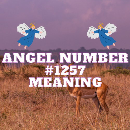 Angel Number 1257: A Comprehensive Guide to Love, Money, Twin Flame and Spiritual Growth