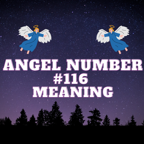 Unlocking the Mysteries and Meaning Of Angel Number 116: A Comprehensive Guide to Love, Money, and Career