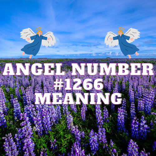 Angel Number 1266 Meaning: A Comprehensive Guide to Love, Twin Flames, Money, and Spiritual Growth