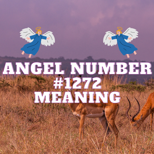 Unlocking the Meaning of Angel Number 1272: Love, Twin Flame, and Spiritual Enlightenment