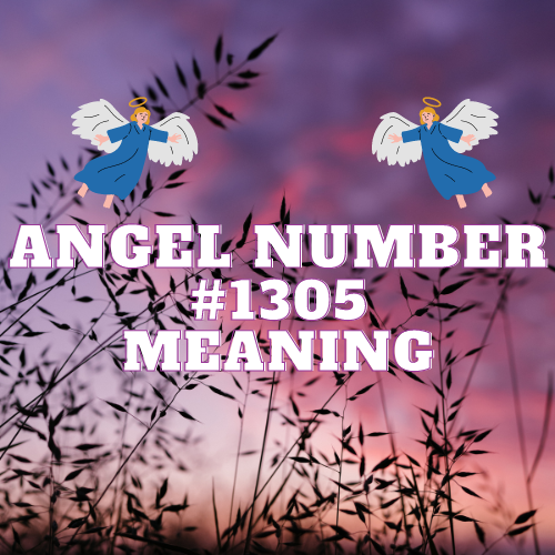 Real Meaning Of Angel Number 1305: A Guide to its , Symbolism, Twin Flame, Love, Relationship, Money, Biblical Significance and Work