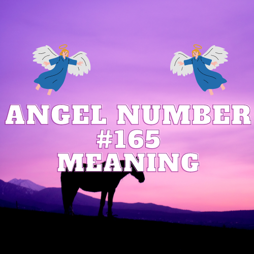 Unlocking the Meaning of Angel Number 165: Twin Flame, Significance in Love, Work, and Spiritual Growth