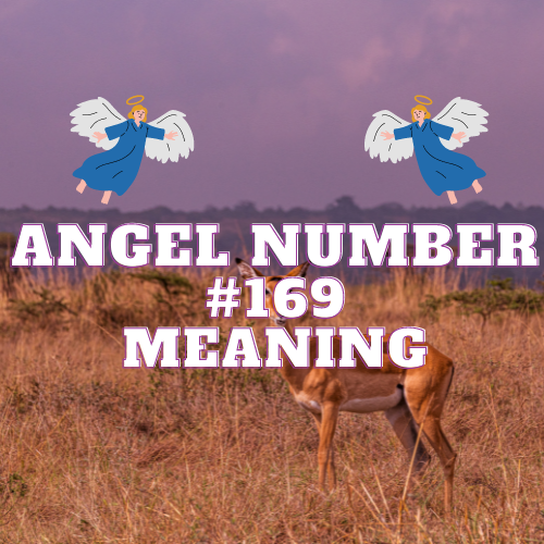 Angel Number 169 Meaning: Unveiling the Spiritual Secrets of Growth, Love, Money, and Career