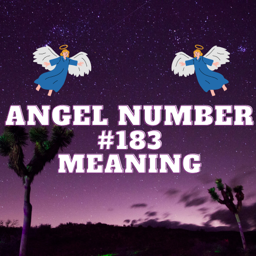 The Meaning Of Angel Number 183: The Spiritual Significance of Love, Twin Flame, and Career Success