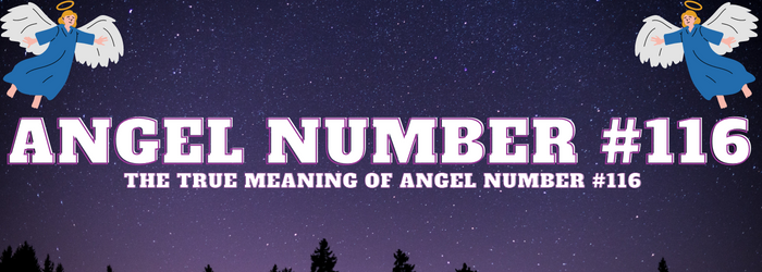 Anngel-Number-116