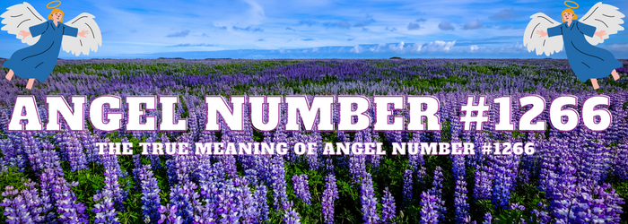 Angel-Number-1266