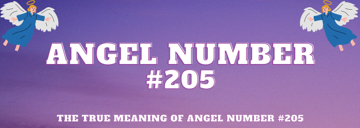 Angel Number 205 