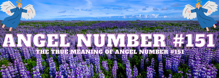 Angel-Number-151