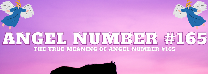 Angel-Number-165