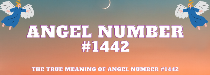 Angel Number 1442