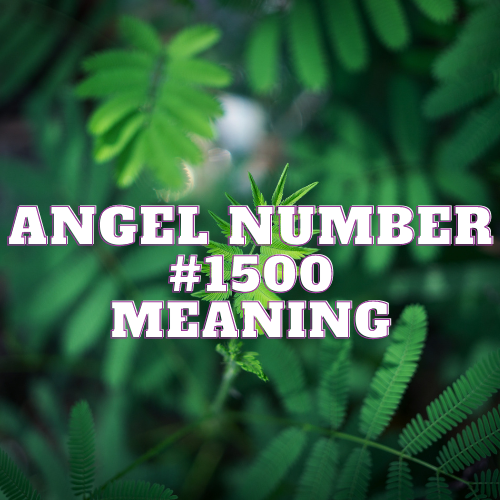 Angel Number 1500 Meaning: Decoding the Twin Flame & And its ...