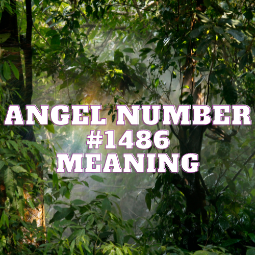 Angel Number 1486 Profound Meaning in Love, Money, Twin Flame, Career, and Spiritual Awakening