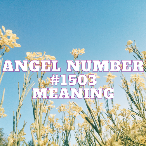 Unveiling the Mystical Tapestry of Angel Number 1503: A Celestial Symphony of Meaning, Love, and Prosperity