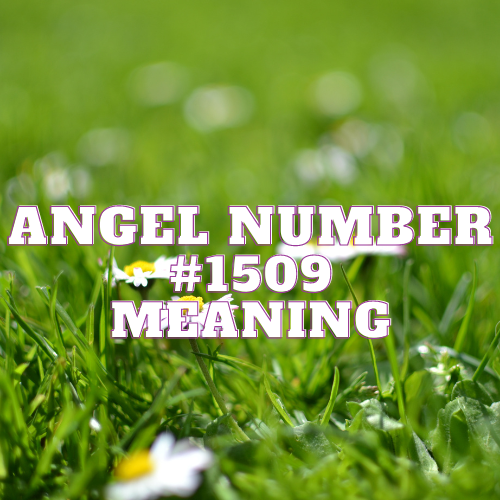 Unlocking the Mystical Meaning Of Angel Number 1509 & It’s Profound Significance in Love, Money, Relationships, and Twin Flame