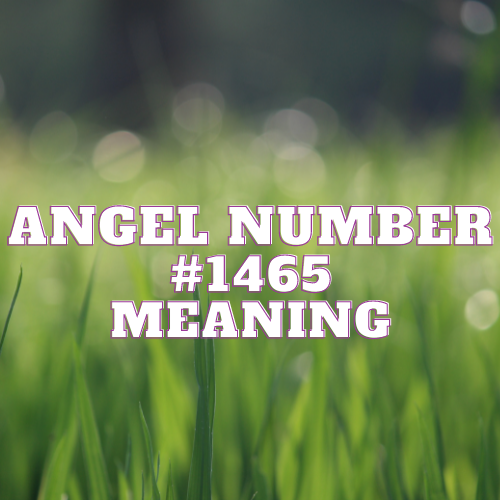 Angel Number 1465 Meaning, Symbolism, Twin Flame, Love, Relationship, Money, Biblical, Work