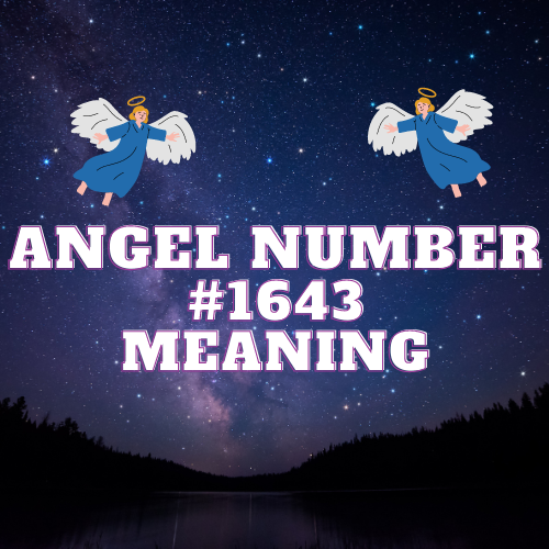 Angel Number 1643: Pathways to Love, Success, and Fulfillment