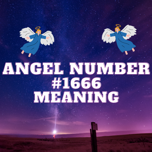 Unveiling the Magnificence of Angel Number 1666: Clear Revelations of Love, Abundance, and Spiritual Harmony