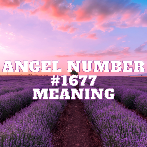 The Illuminating Symphony of Angel Number 1677: Unlocking the Path to Love, Abundance, and Spiritual Connection