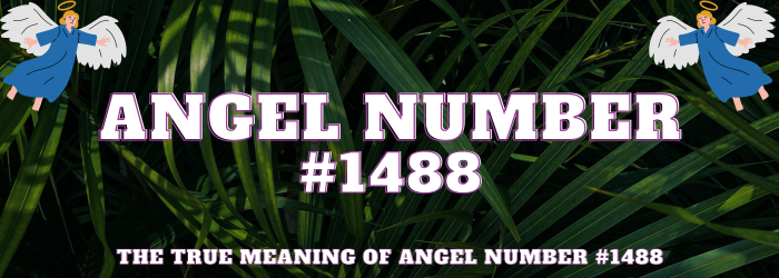 Angel Number 1488