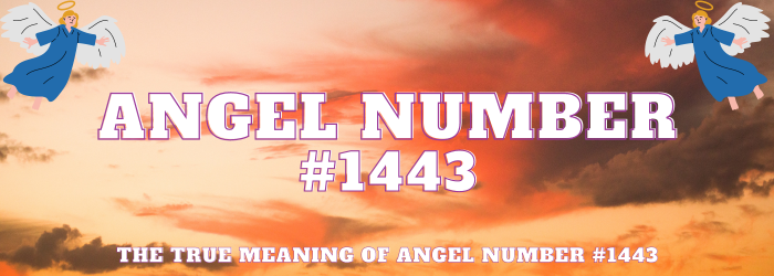 Angel Number 1443