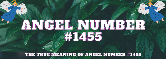 Angel Number 1455