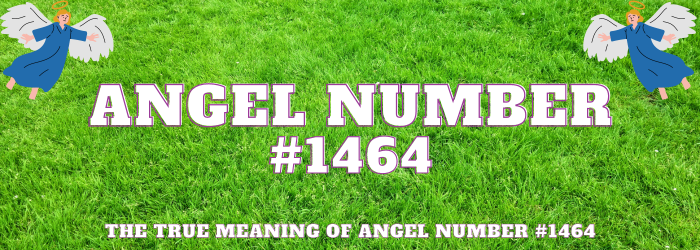 Angel Number 1464