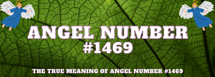 Angel Number 1469