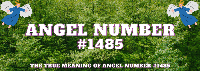 Angel Number 1485