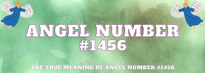 Angel Number 1456